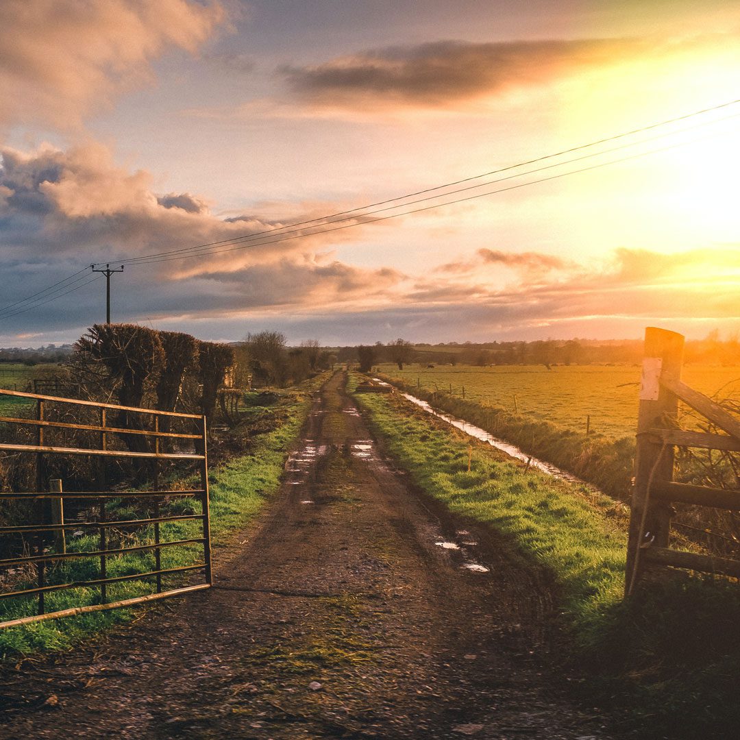 Agricultural - farm track