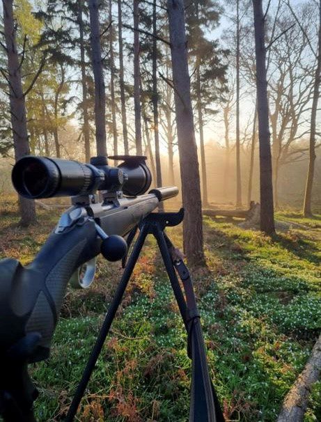 Wildlife control shooting