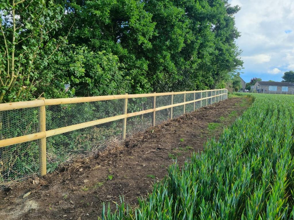 Rabbit proof fencing