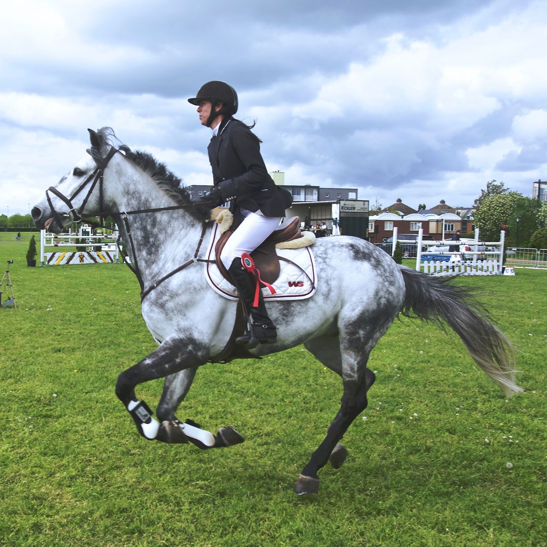 Equestrian centre - horse