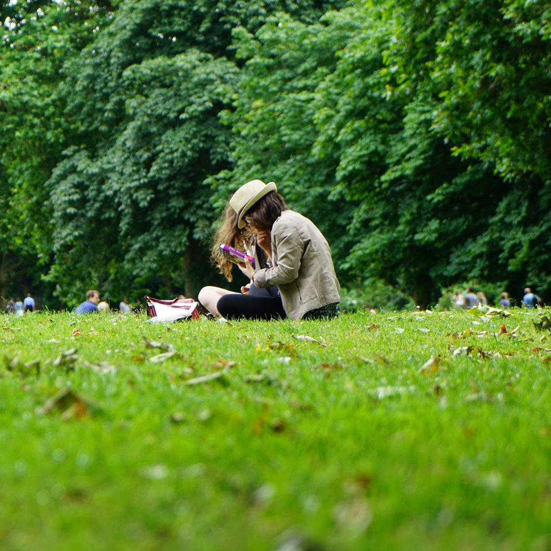 Public garden wildlife control