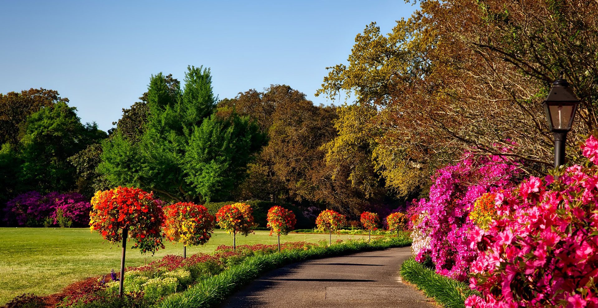 Public gardens